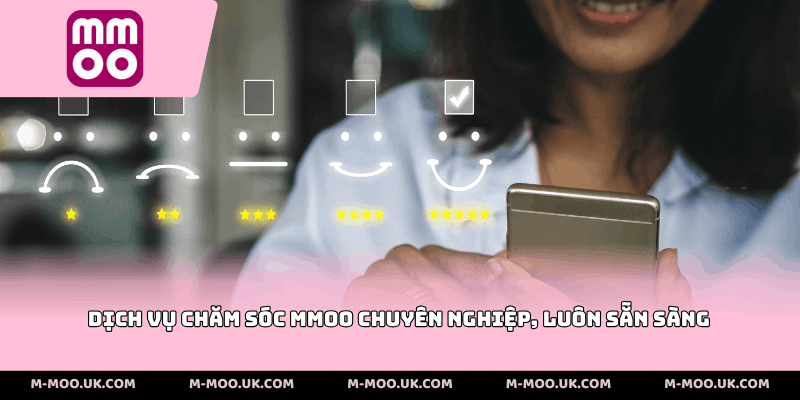 Dịch vụ chăm sóc MMOO chuyên nghiệp, luôn sẵn sàng