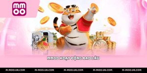 MMOO Hoạt Động Bao Lâu